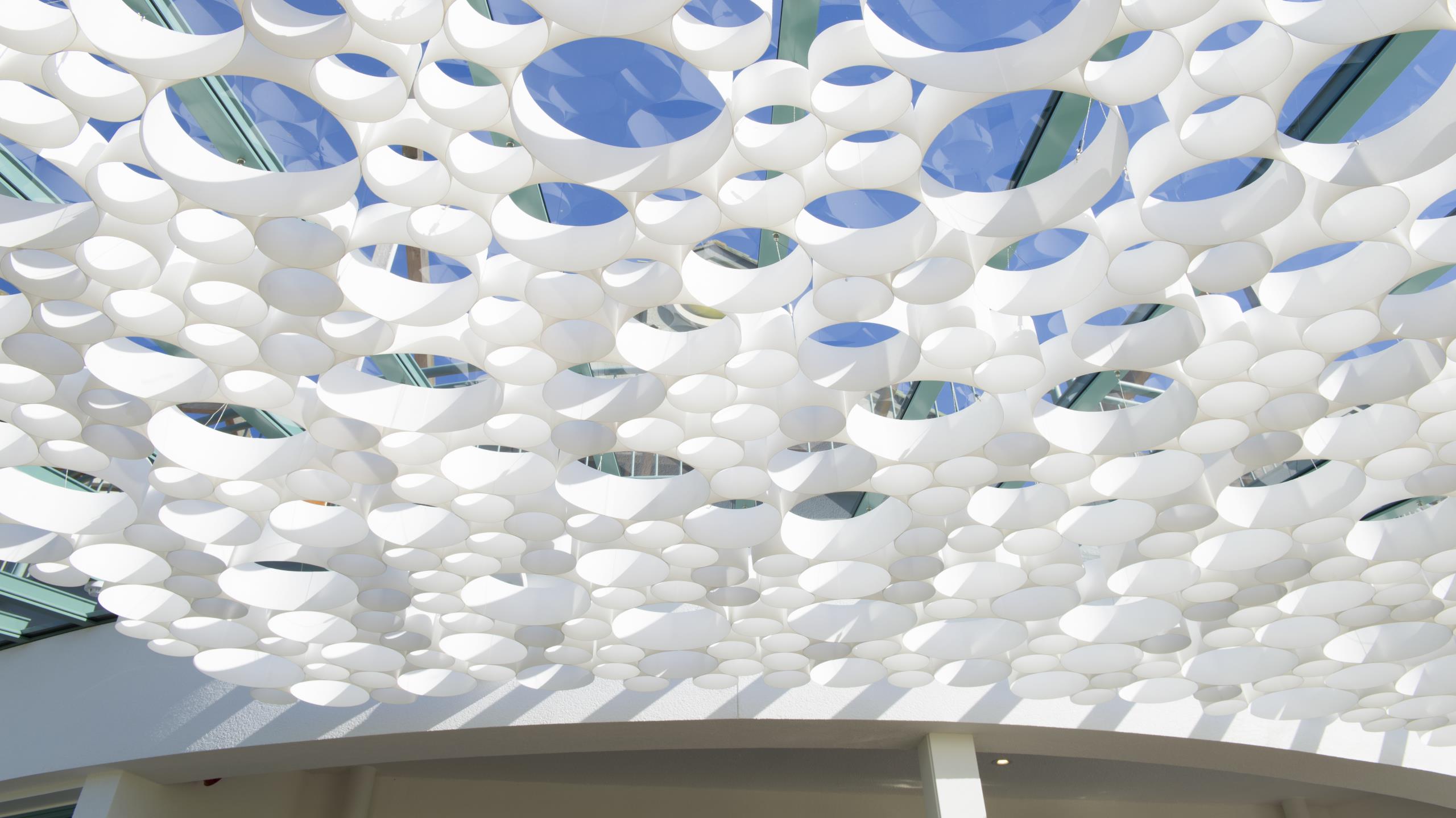 Gulf Harbour Country Club - AO-Gami Ceiling System