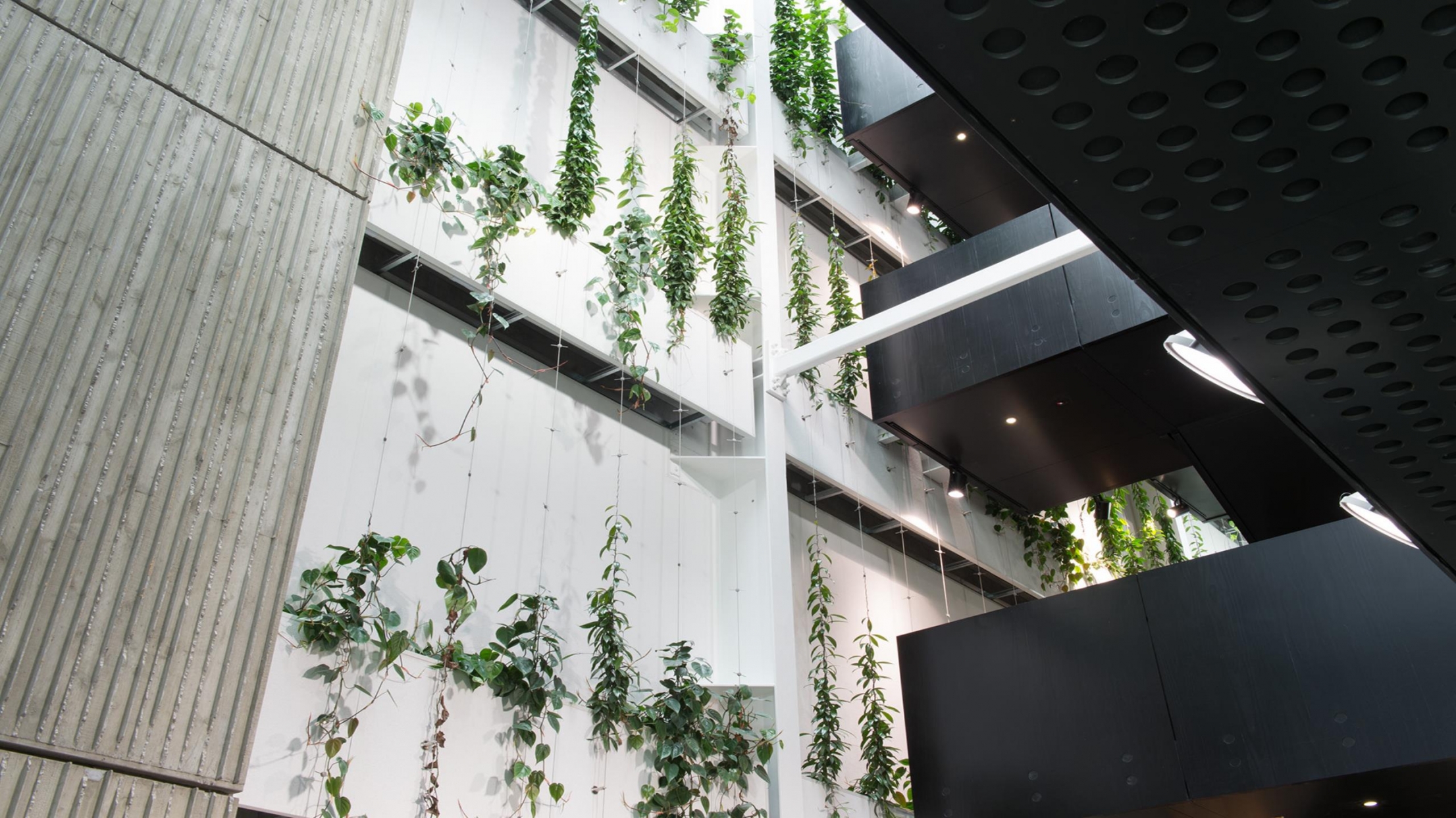 Lane Neave Building, CHCH - Triton 40 Sports Wall
