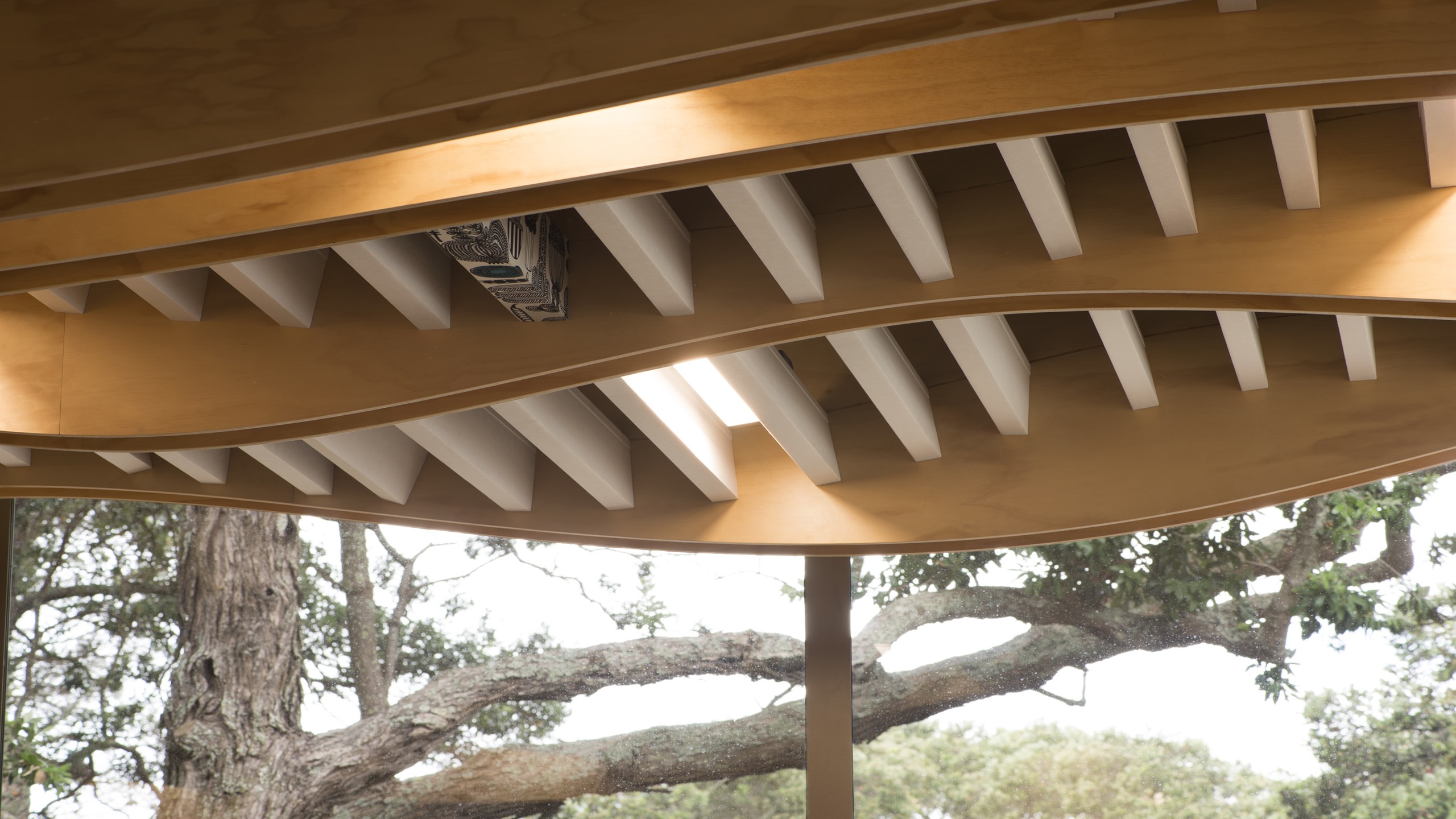 Devonport Library - Baffle Beams