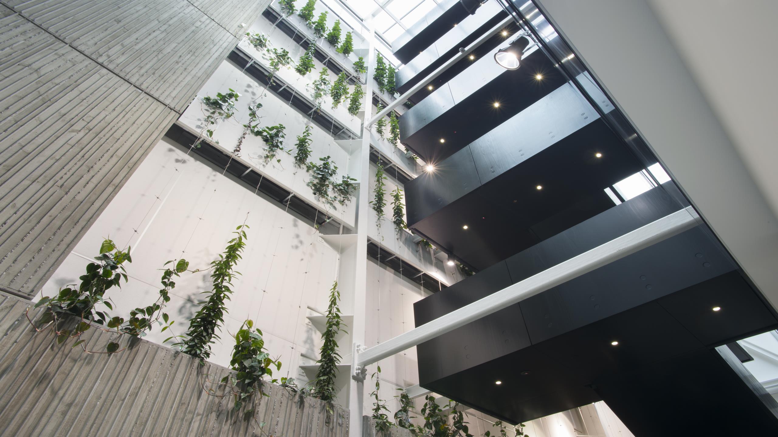 Cambridge Terrace - Triton 40 Sports wall panels