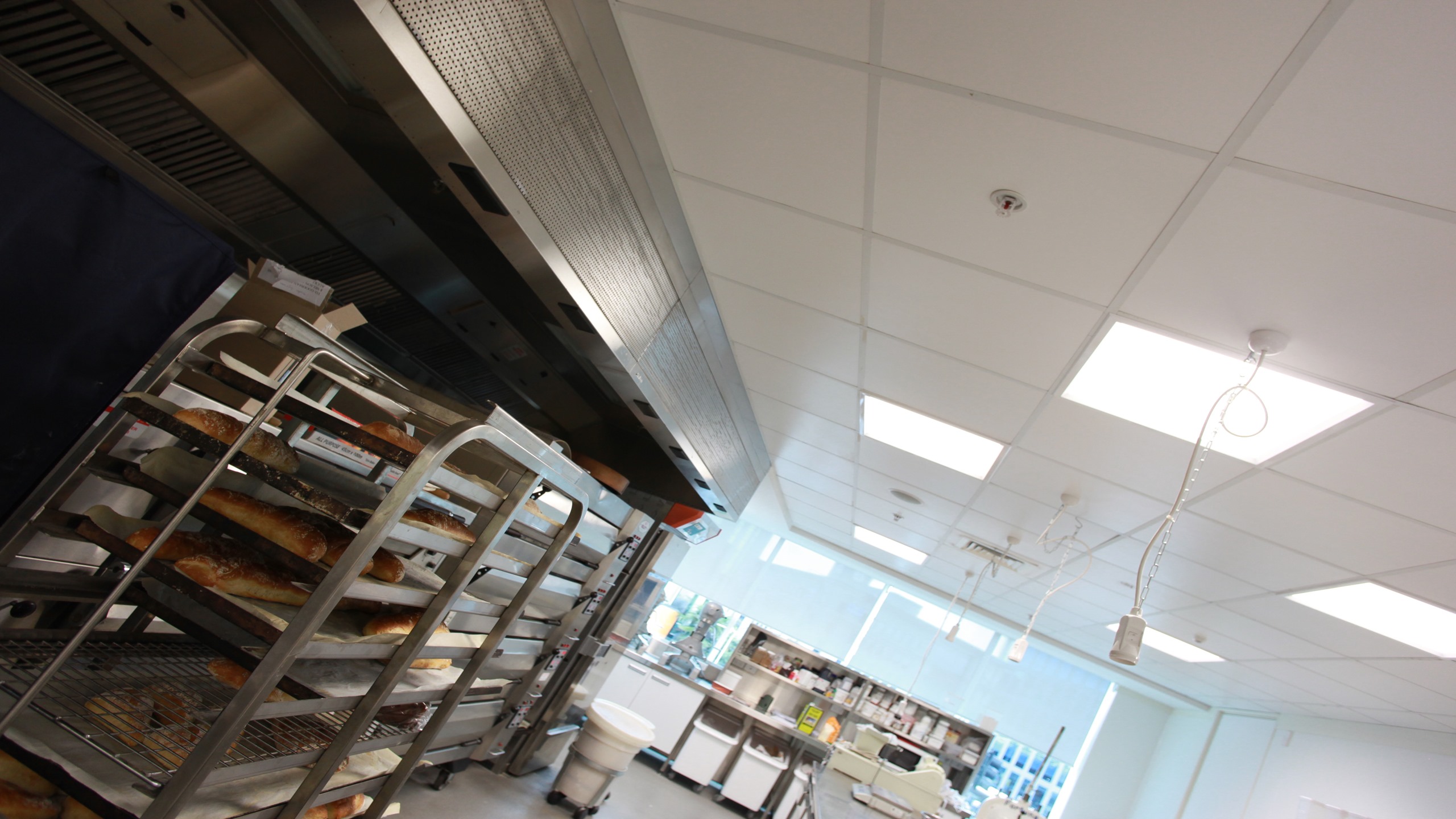 Goodman Fielding Training Room- Triton Hygiene 25™ 