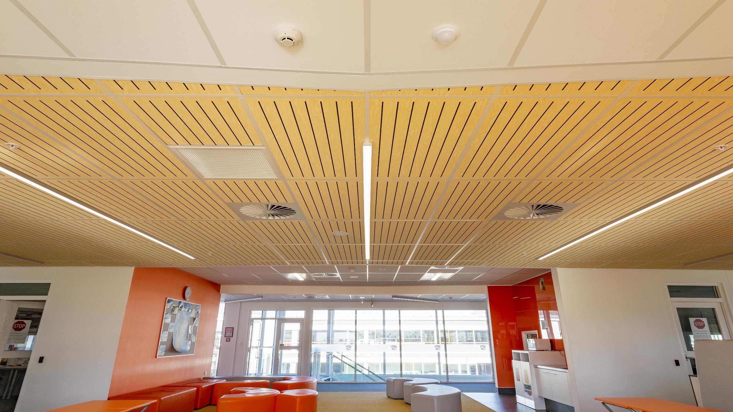 Wakatipu High School - Sonaris S7-1100 / Wood-look over black