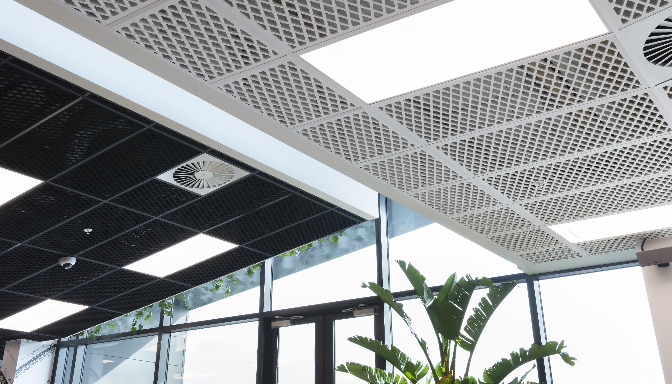 Biz Dojo Ponsonby - Polyfon Mesh