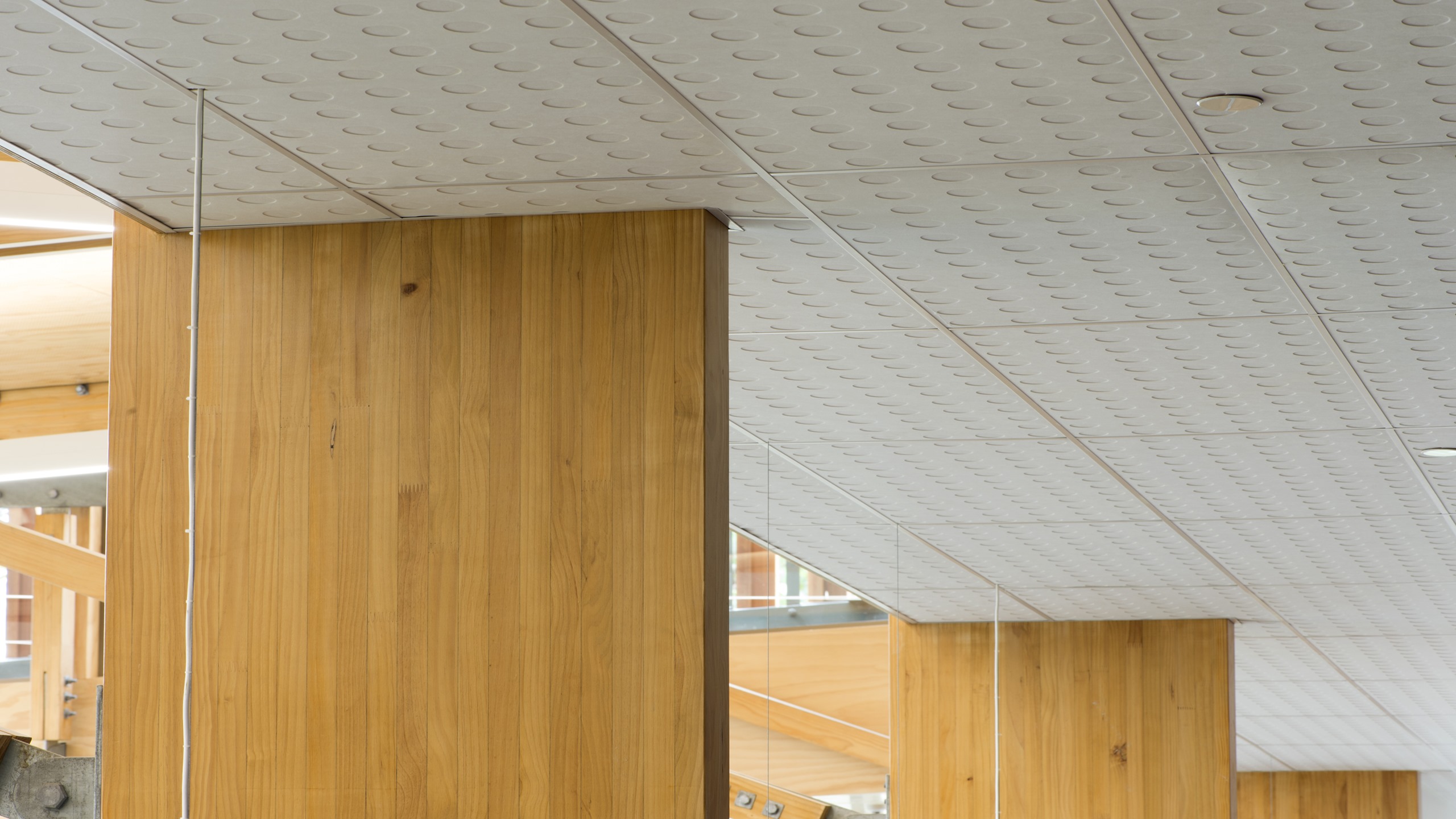Devonport Library - Sonaris Ceiling Tiles