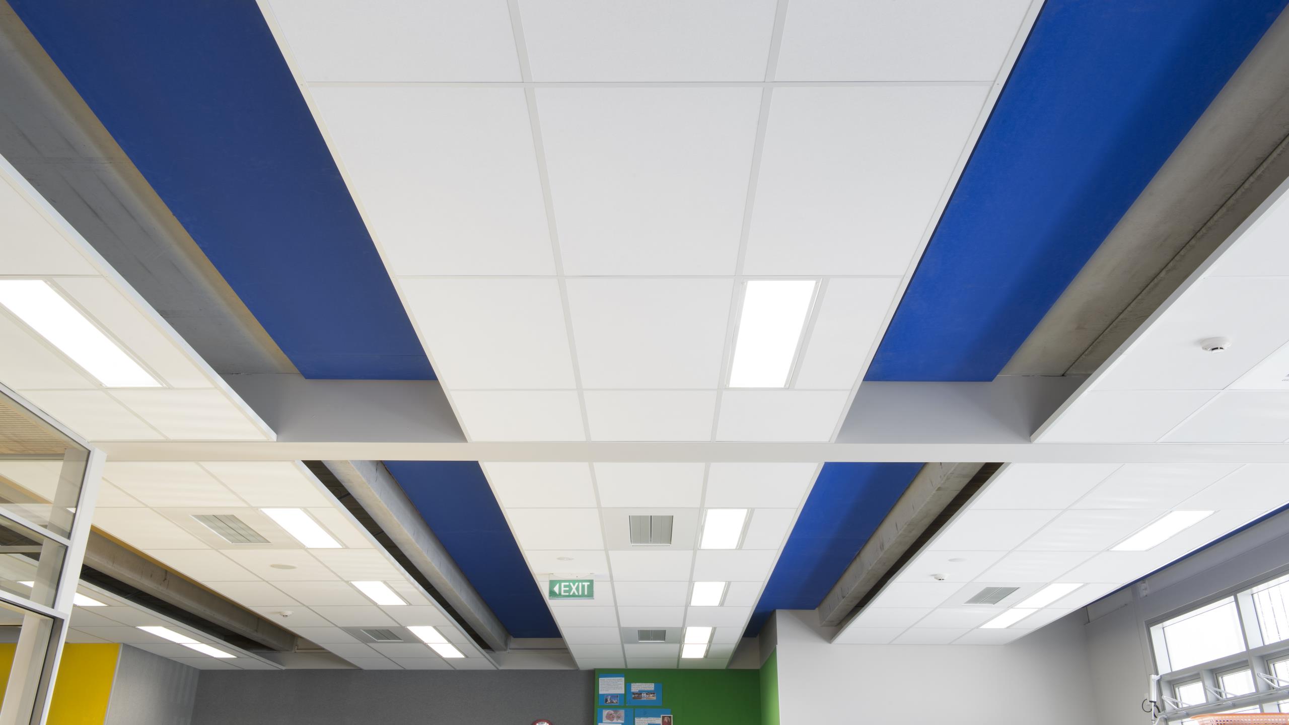 St Joseph's School - Triton 50 with Blue Sonatex