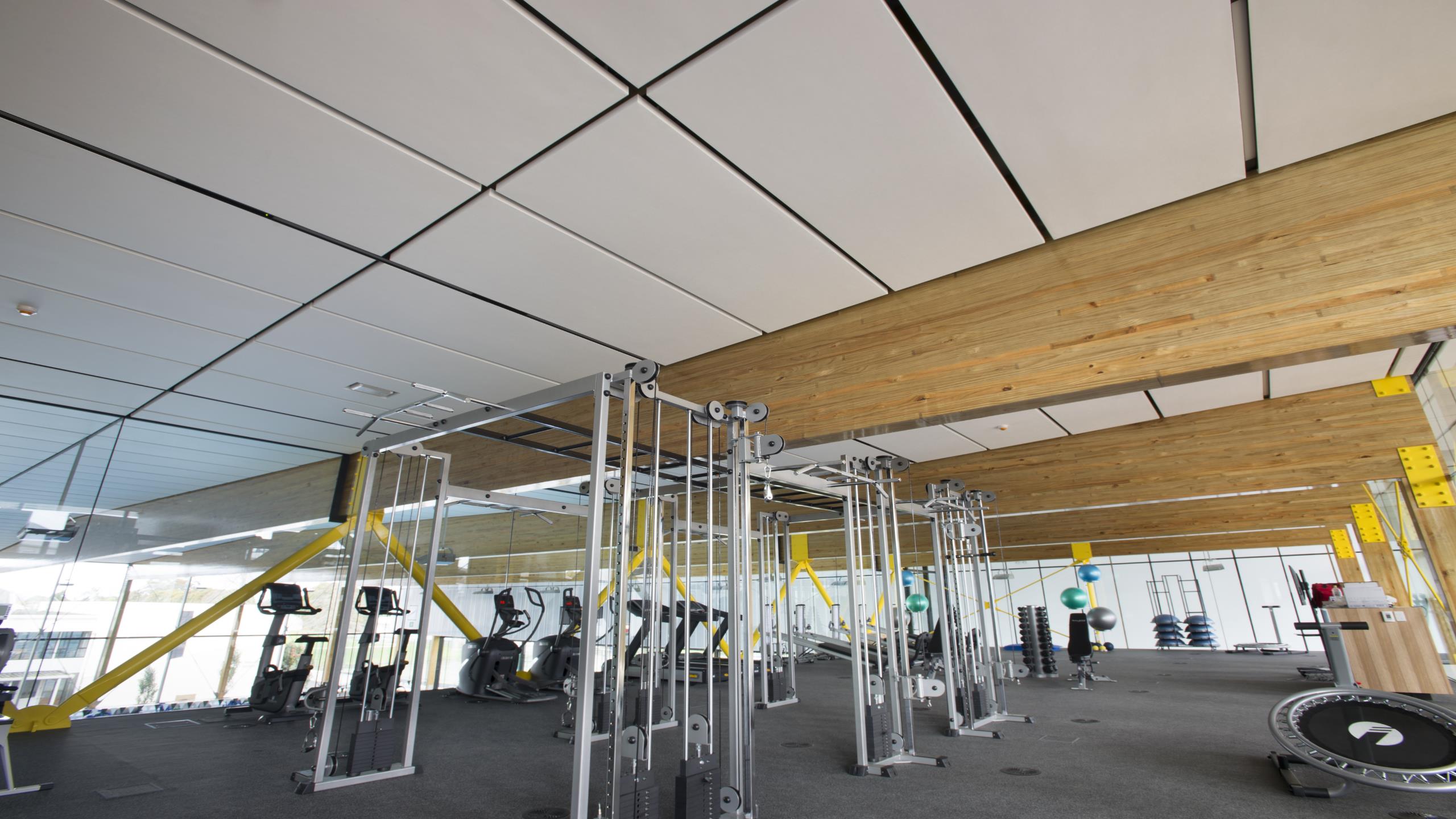 St Cuthberts Girls School swimming pool complex ceiling showing Triton Cloud pool panels installed in the gym area